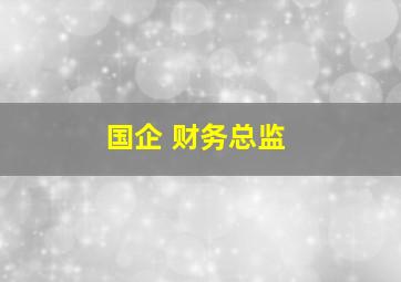 国企 财务总监